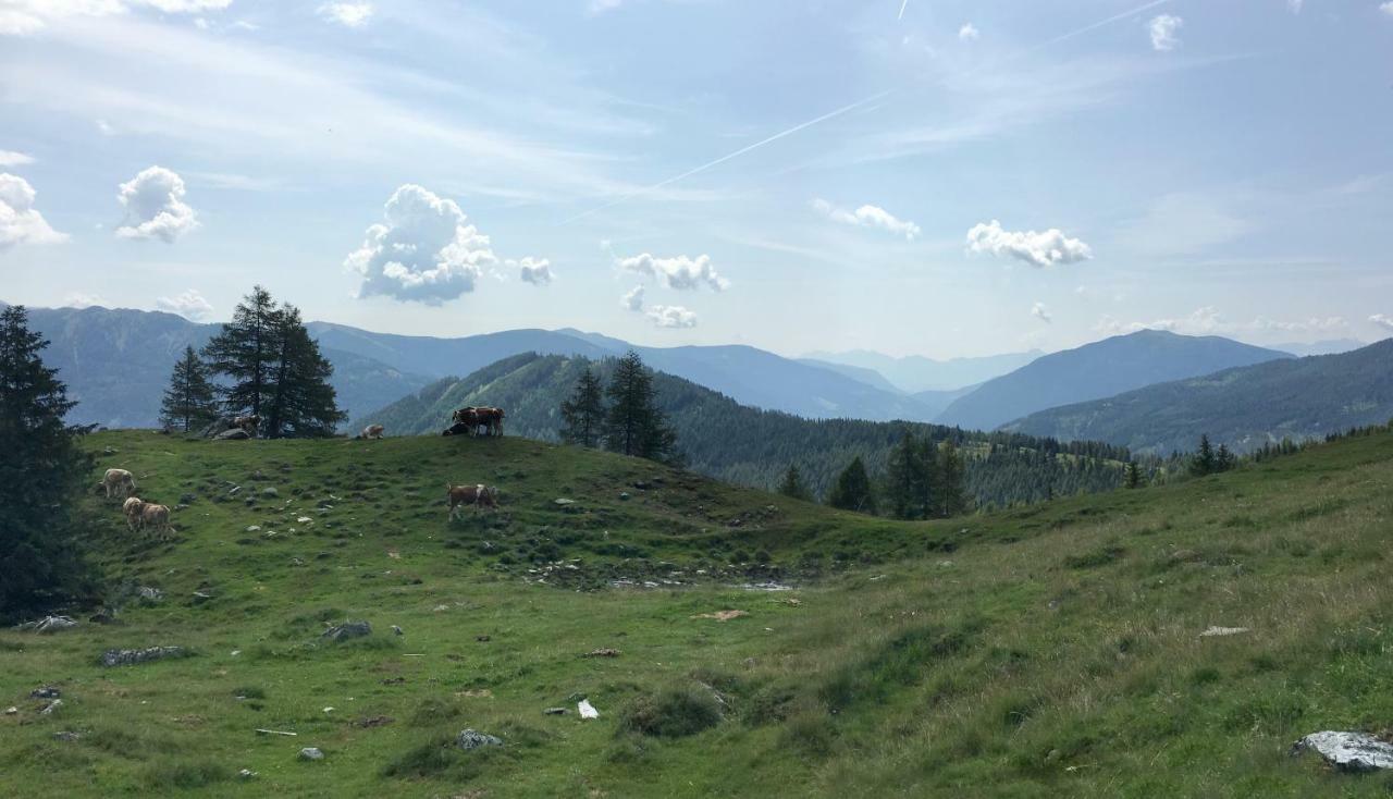 Villa Streintz Millstatt Εξωτερικό φωτογραφία